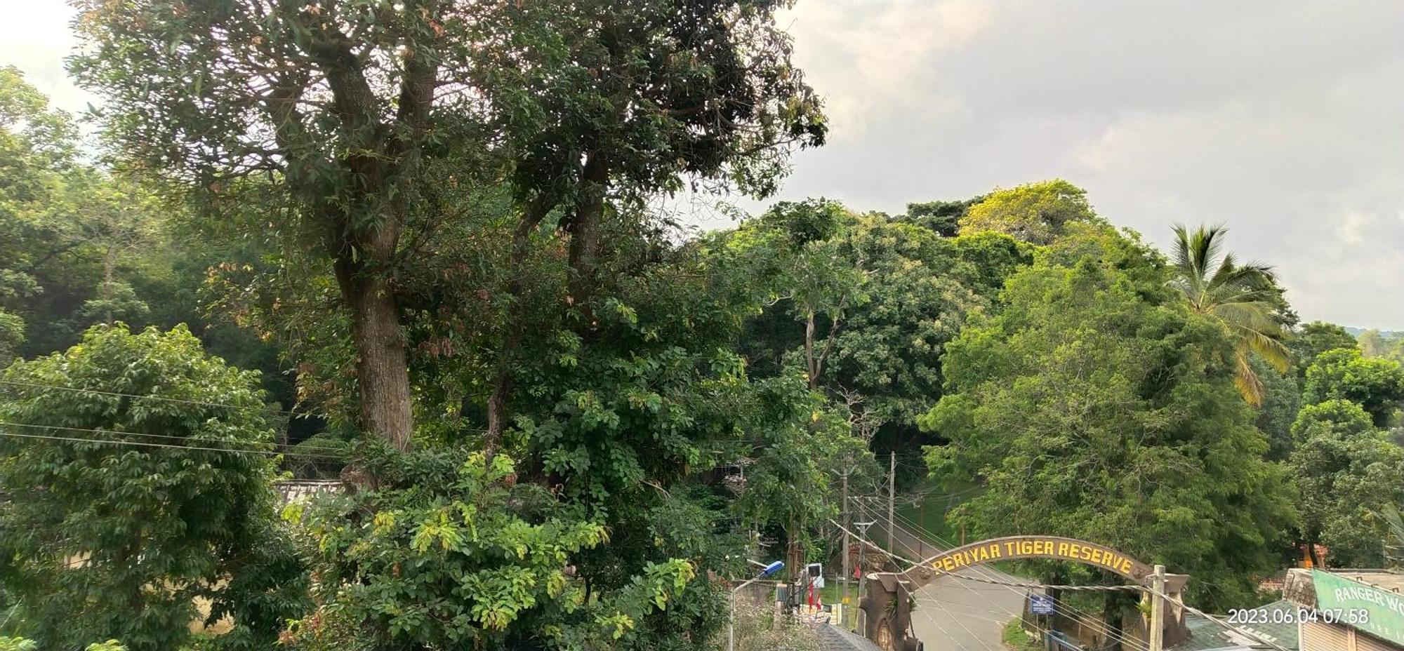 טקאדי Floral Homestay מראה חיצוני תמונה